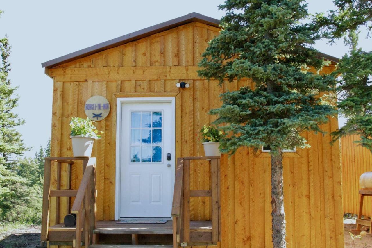 Arctic Dragonfly Inn Healy Dış mekan fotoğraf