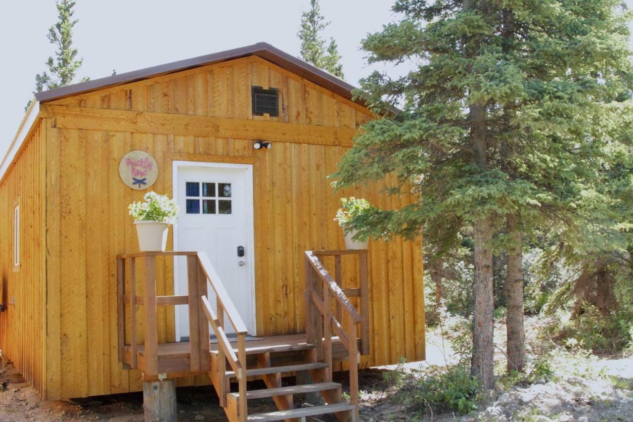 Arctic Dragonfly Inn Healy Dış mekan fotoğraf